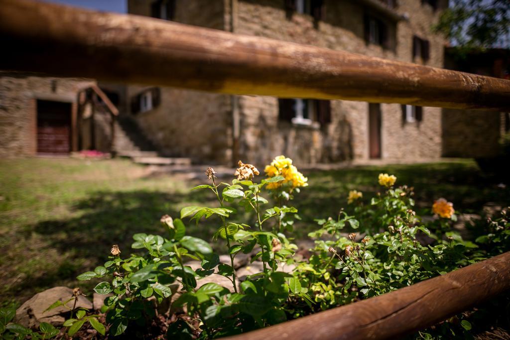 Borgo Al Teto La Vite Castiglion Fiorentino Exterior foto