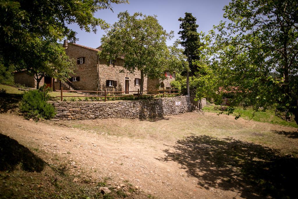 Borgo Al Teto La Vite Castiglion Fiorentino Exterior foto