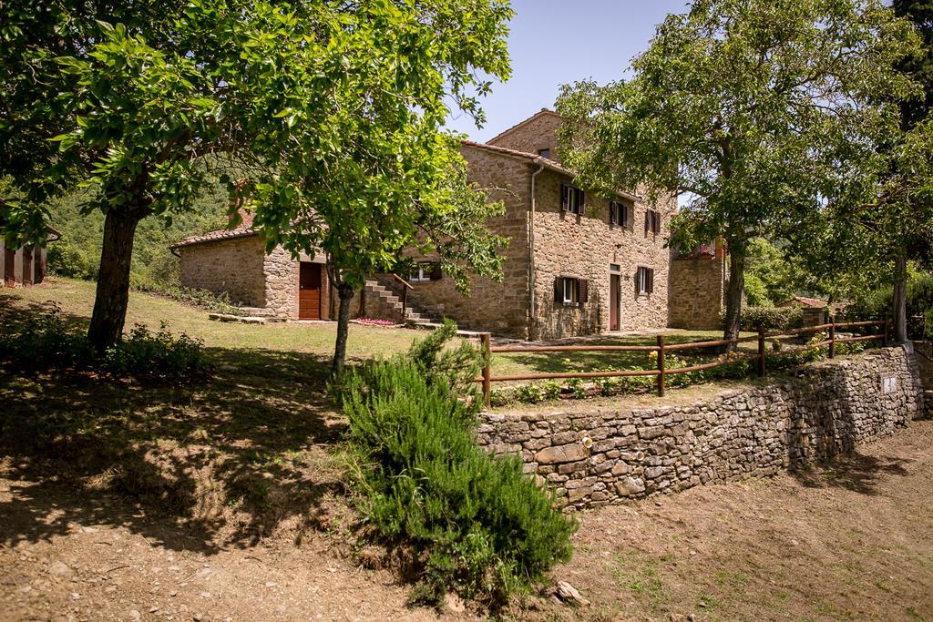 Borgo Al Teto La Vite Castiglion Fiorentino Exterior foto