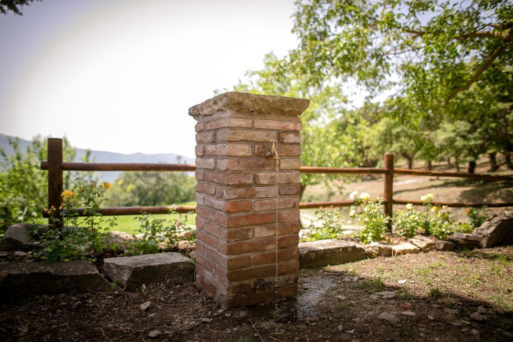 Borgo Al Teto La Vite Castiglion Fiorentino Exterior foto